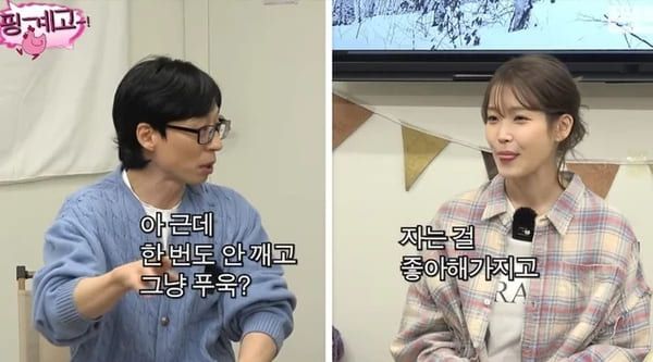 유튜브 '핑계고'