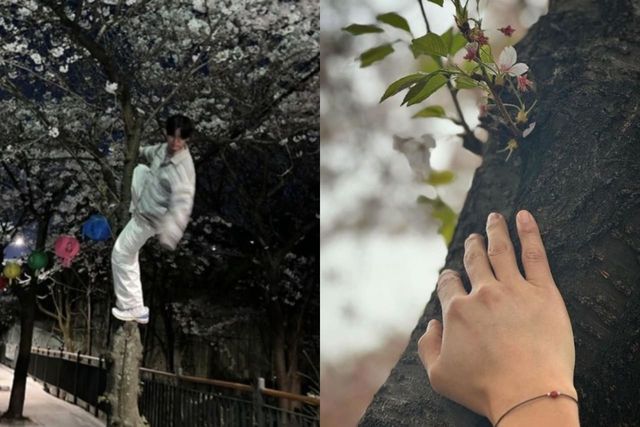 최성준 인스타그램