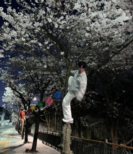 최성준 인스타그램