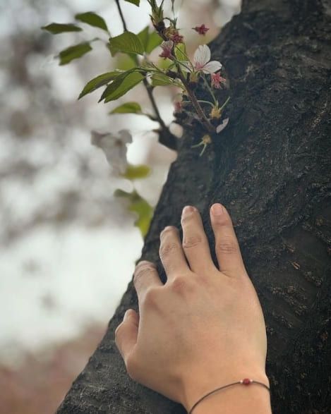 최성준 인스타그램