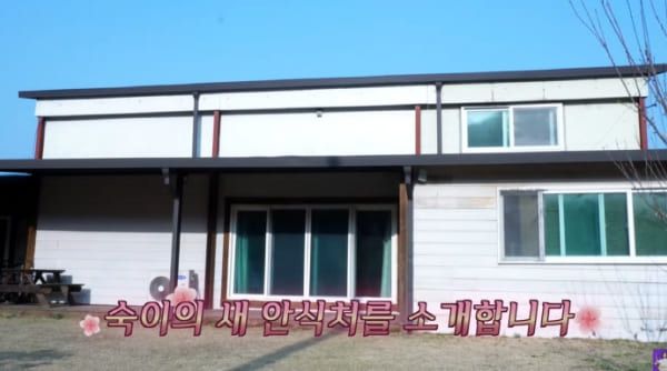 유튜브 '김숙TV'