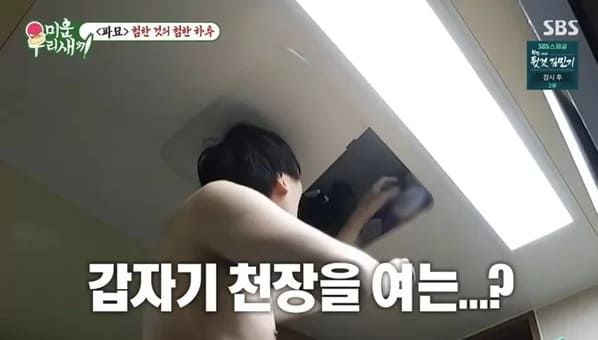 SBS '미운 우리 새끼'