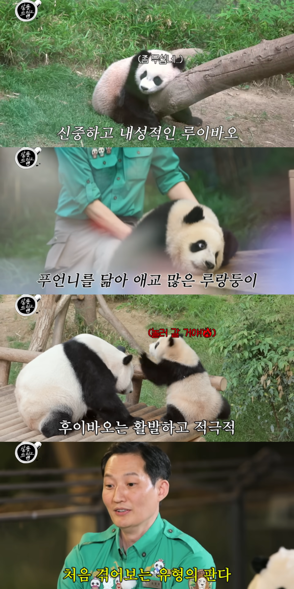 유튜브 채널 'TEO 테오'