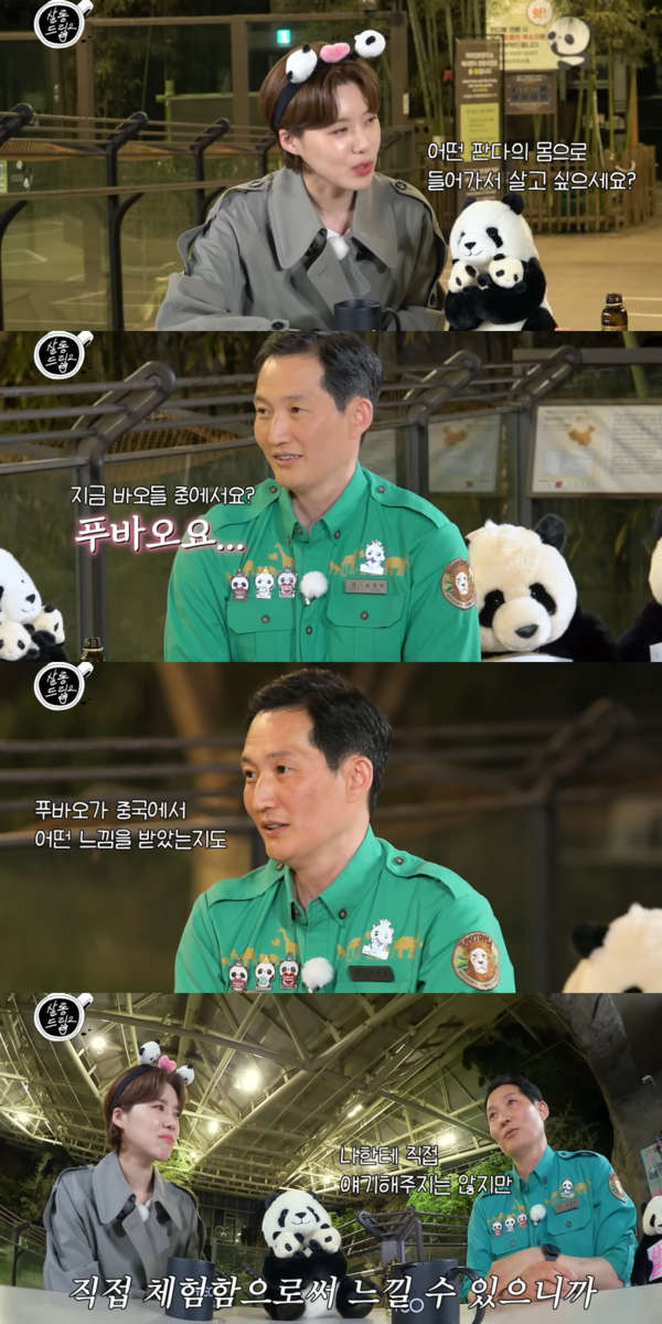 유튜브 채널 'TEO 테오'