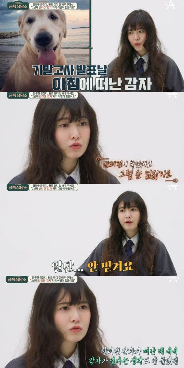 채널A '오은영의 금쪽 상담소'