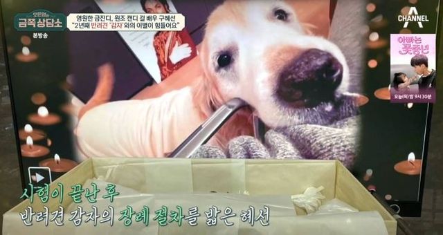 출처: 채널A 예능 '오은영의 금쪽 상담소