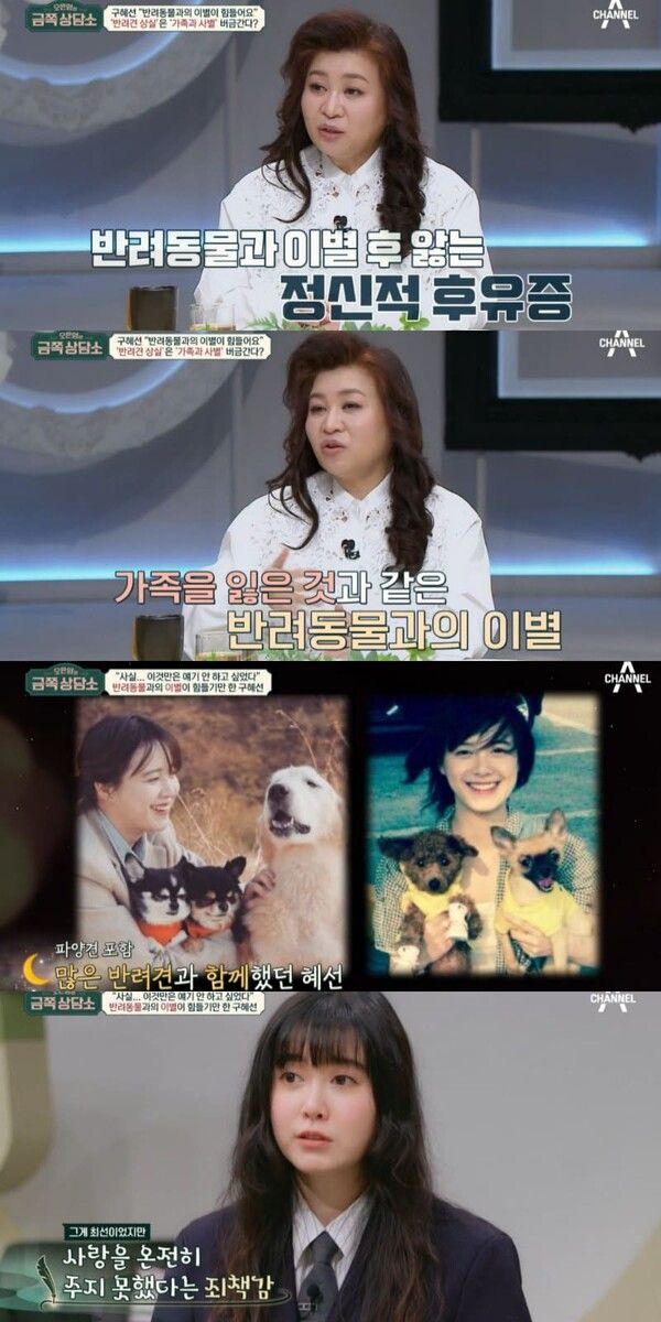 채널A '오은영의 금쪽 상담소'