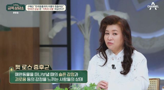 출처: 채널A 예능 '오은영의 금쪽 상담소