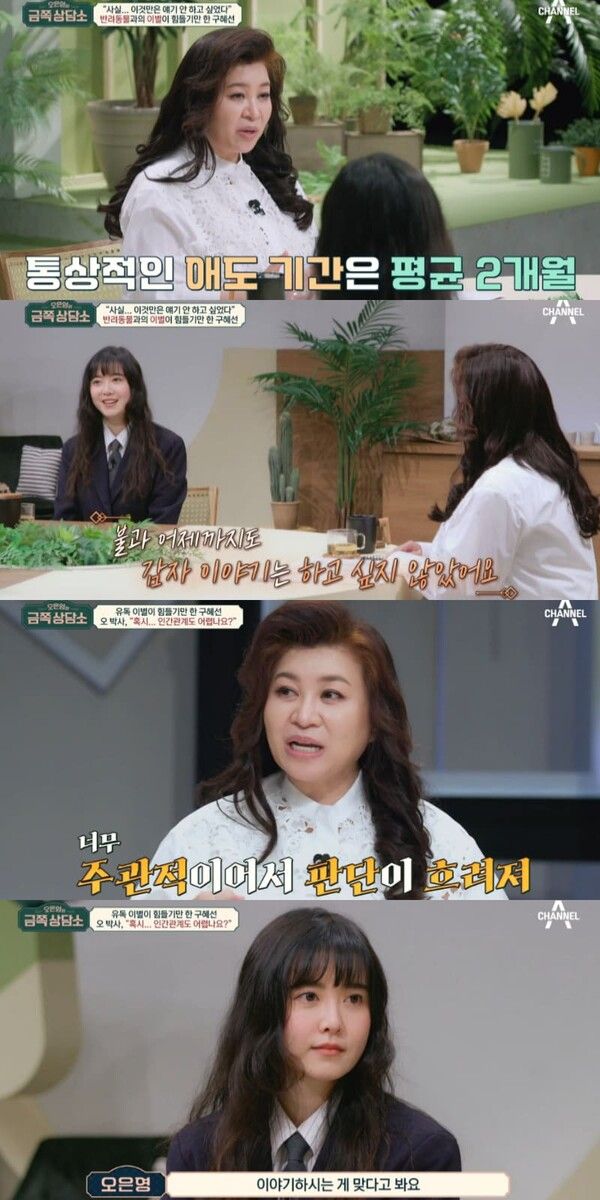 채널A '오은영의 금쪽 상담소'