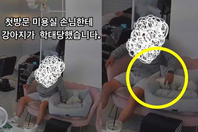 온라인 커뮤니티 캡처