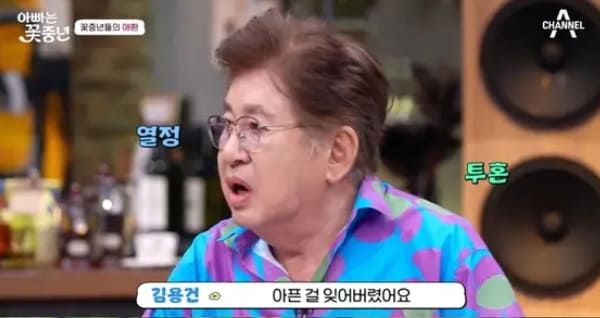 채널A '아빠는 꽃중년'