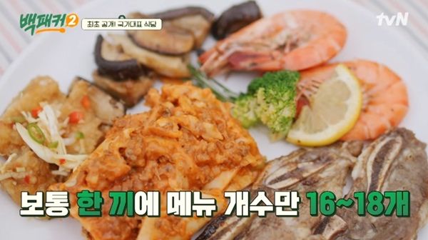 tvN '백패커2'