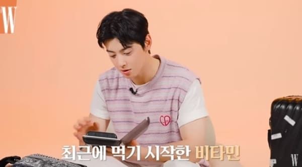 유튜브 '더블유 코리아'