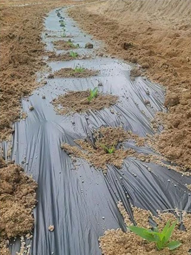 사진=김현중 인스타그램