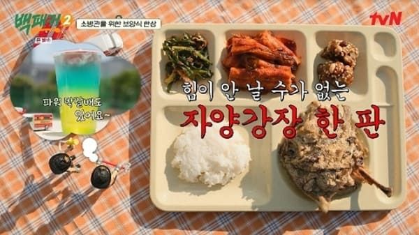 tvN '백패커2'