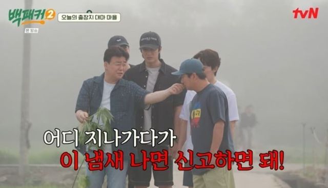 출처:tvN 예능 '백패커2'