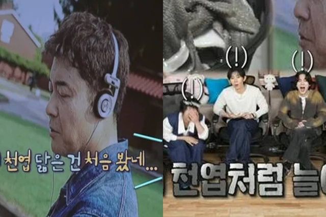 MBC '나 혼자 산다'