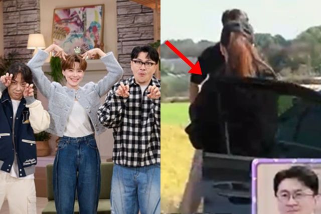 KBS2 '동물은 훌륭하다'