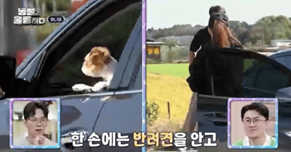 KBS2 '동물은 훌륭하다'