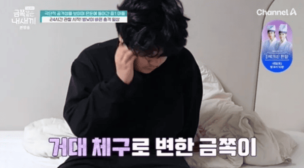 채널A '요즘 육아 - 금쪽같은 내 새끼'