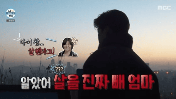 MBC '나 혼자 산다'