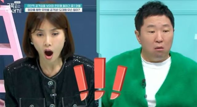 출처:채널A 교양 '요즘 육아 - 금쪽같은 내새끼'