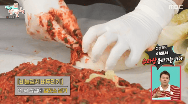 MBC '전지적 참견 시점'