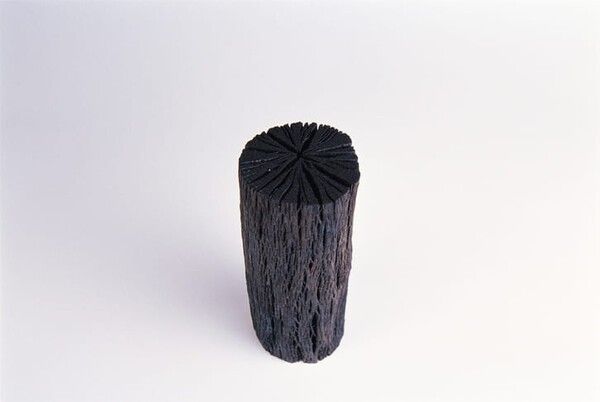 ⓒ게티이미지뱅크(숯)