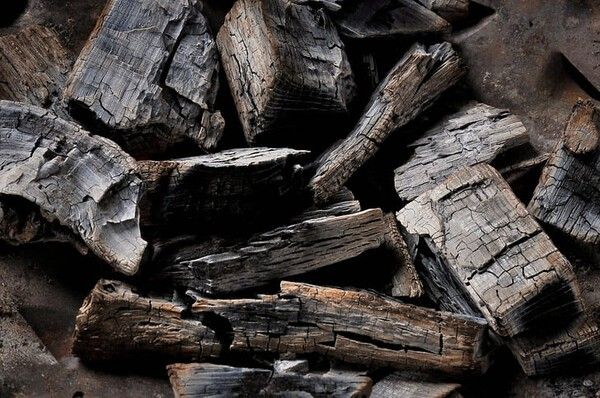 ⓒ게티이미지뱅크(숯)