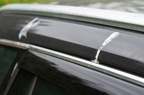 ⓒ게티이미지뱅크(자동차 새 배설물)