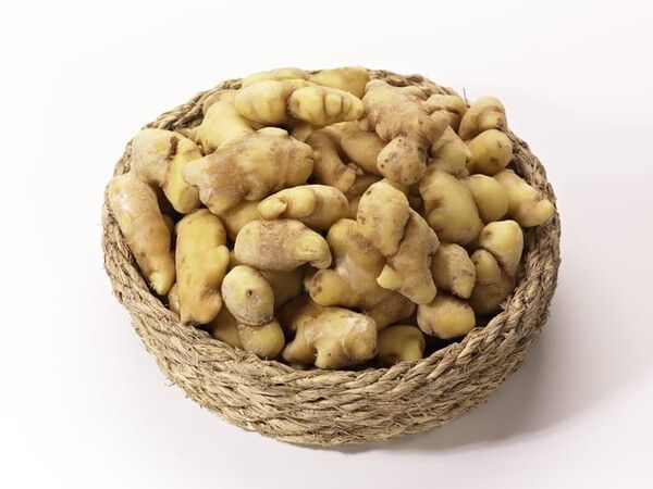 ⓒ게티이미지뱅크(생강)