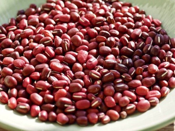 ⓒ게티이미지뱅크(팥)