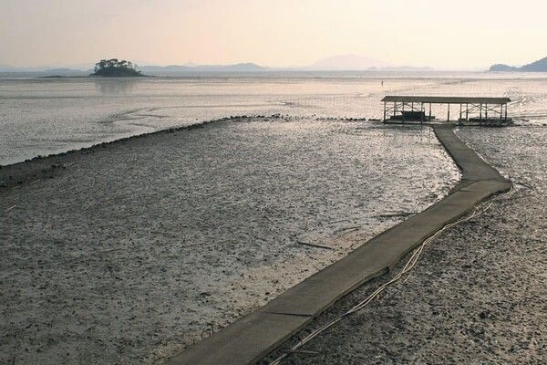 ⓒ게티이미지뱅크(순천만)