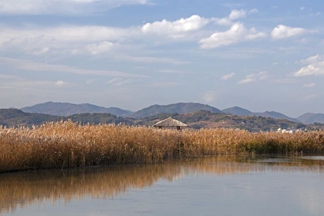 ⓒ게티이미지뱅크(순천만)