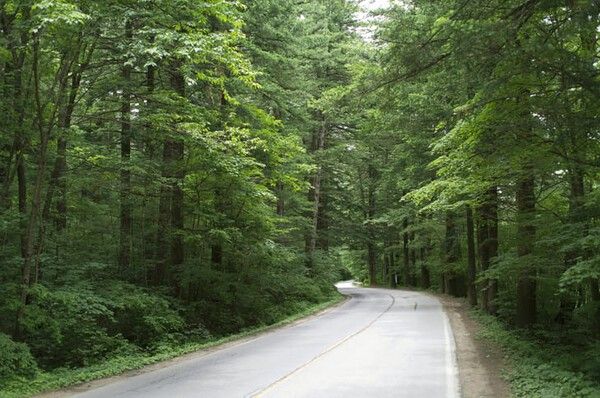 ⓒ게티이미지뱅크(오대산)