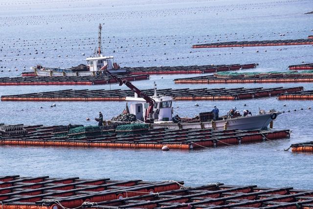 ⓒ게티이미지뱅크(양식장)