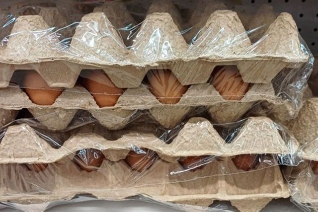 ⓒ게티이미지뱅크(계란)