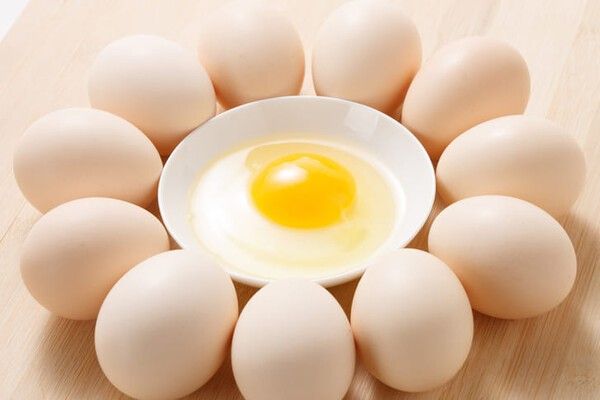 ⓒ게티이미지뱅크(계란)