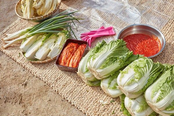 ⓒ게티이미지뱅크(배추)