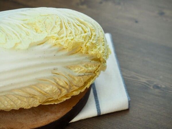 ⓒ게티이미지뱅크(배추)