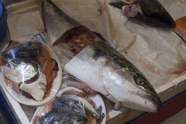 ⓒ게티이미지뱅크(방어)