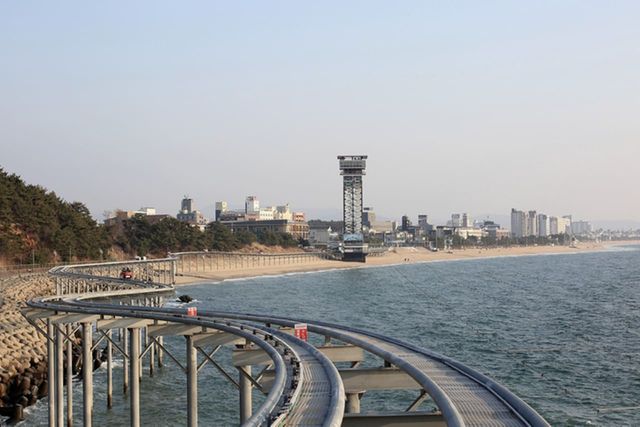 ⓒ게티이미지뱅크(보령시)