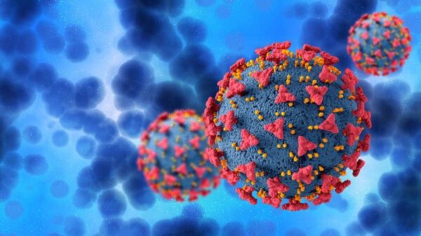 ⓒ게티이미지뱅크(세균)