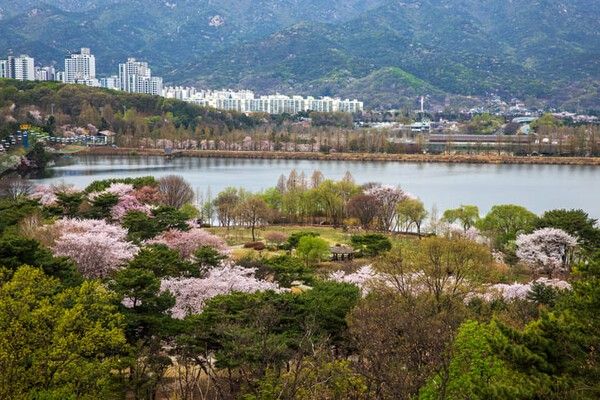 ⓒ게티이미지뱅크(과천)