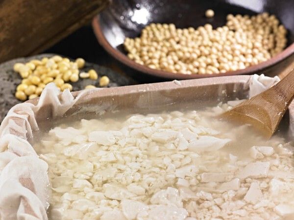 ⓒ게티이미지뱅크(순두부)