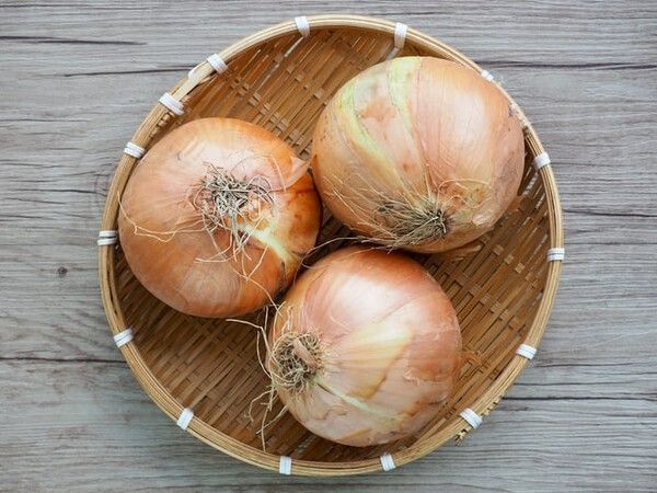 ⓒ게티이미지뱅크(양파)