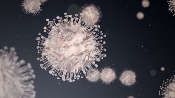 ⓒ게티이미지뱅크(세균)