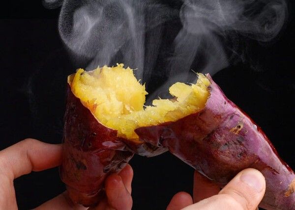 ⓒ게티이미지뱅크(고구마)