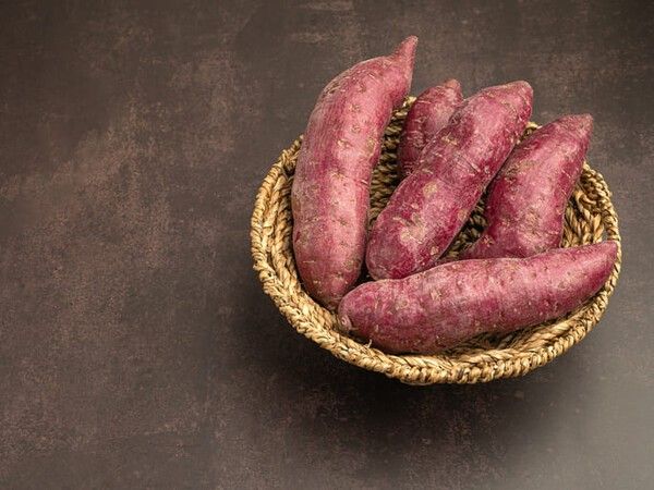 ⓒ게티이미지뱅크(고구마)