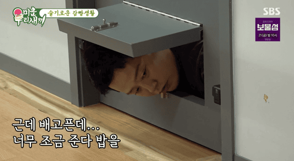 SBS '미운 우리 새끼'